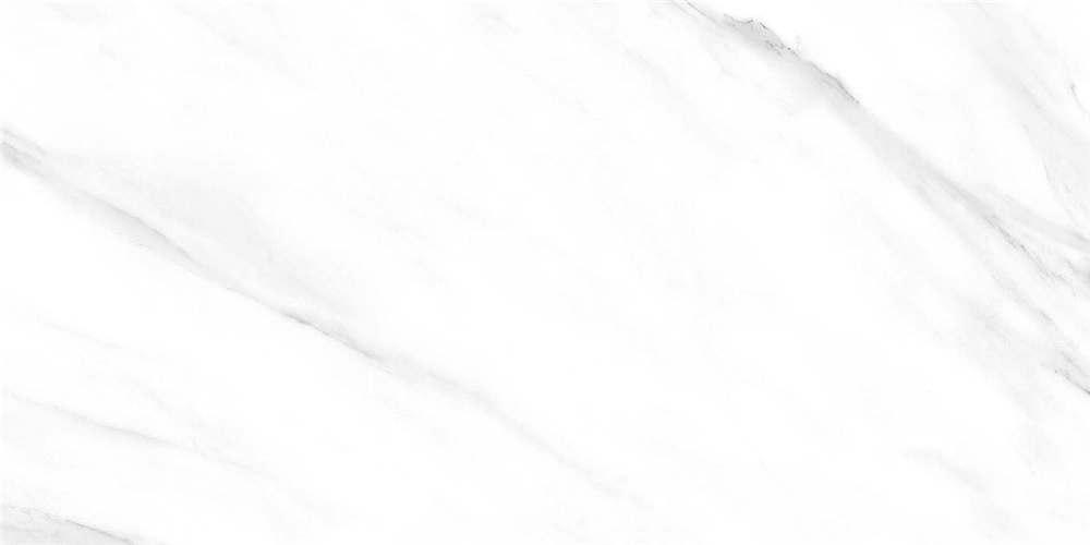 4L811A