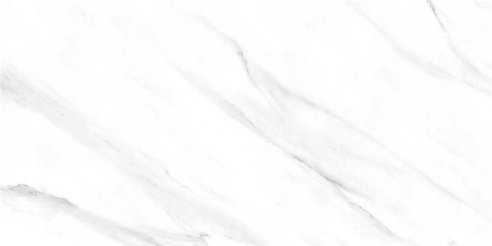 4L811A