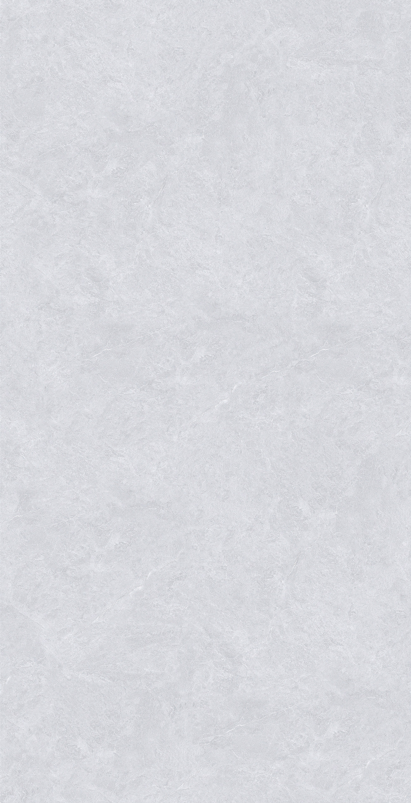 GA48895 (2)