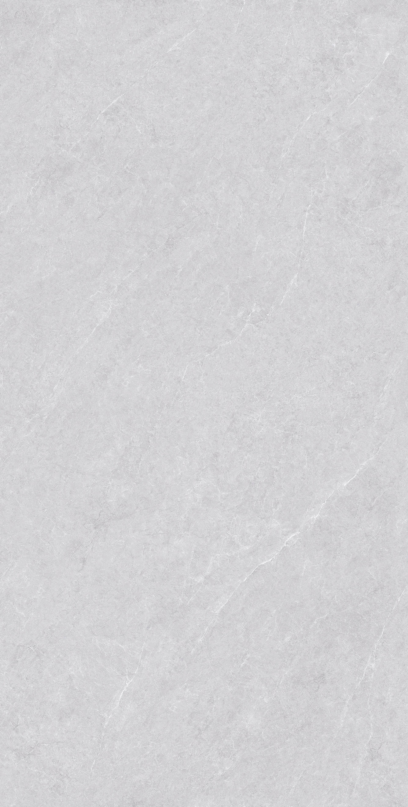 GA48891 (3)