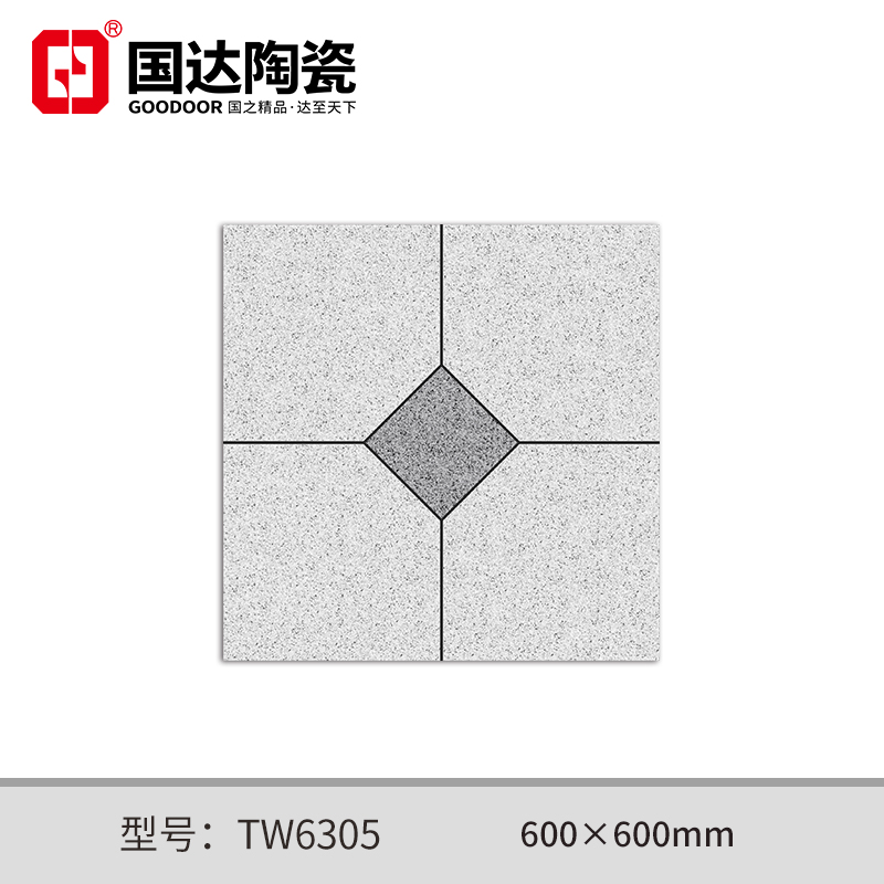 TW6305