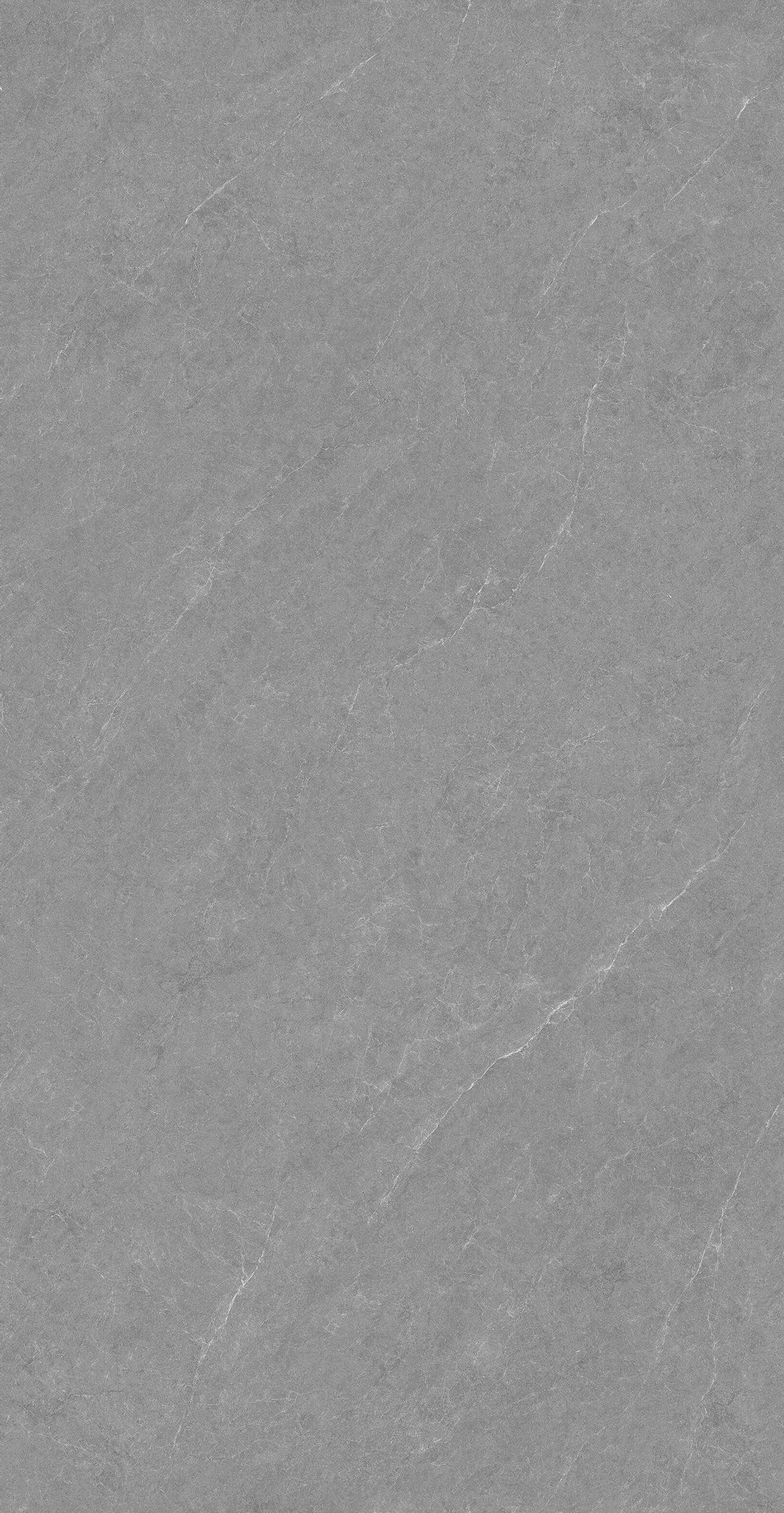 GA48892 (2)