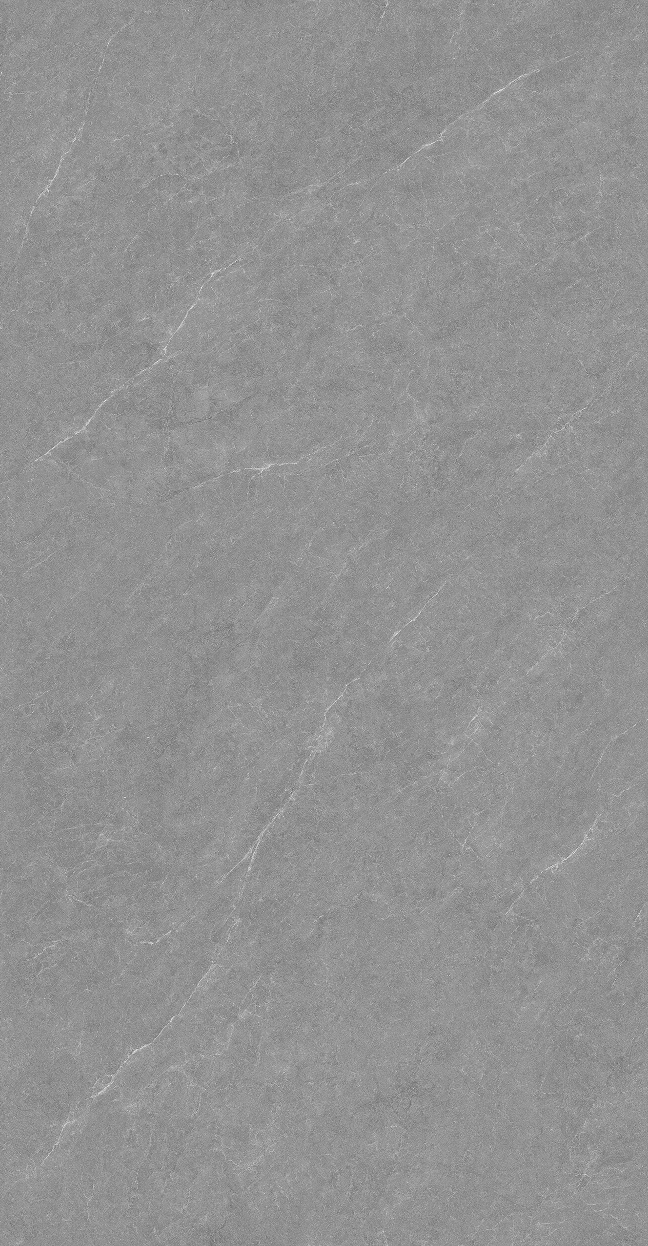 GA48892 (4)