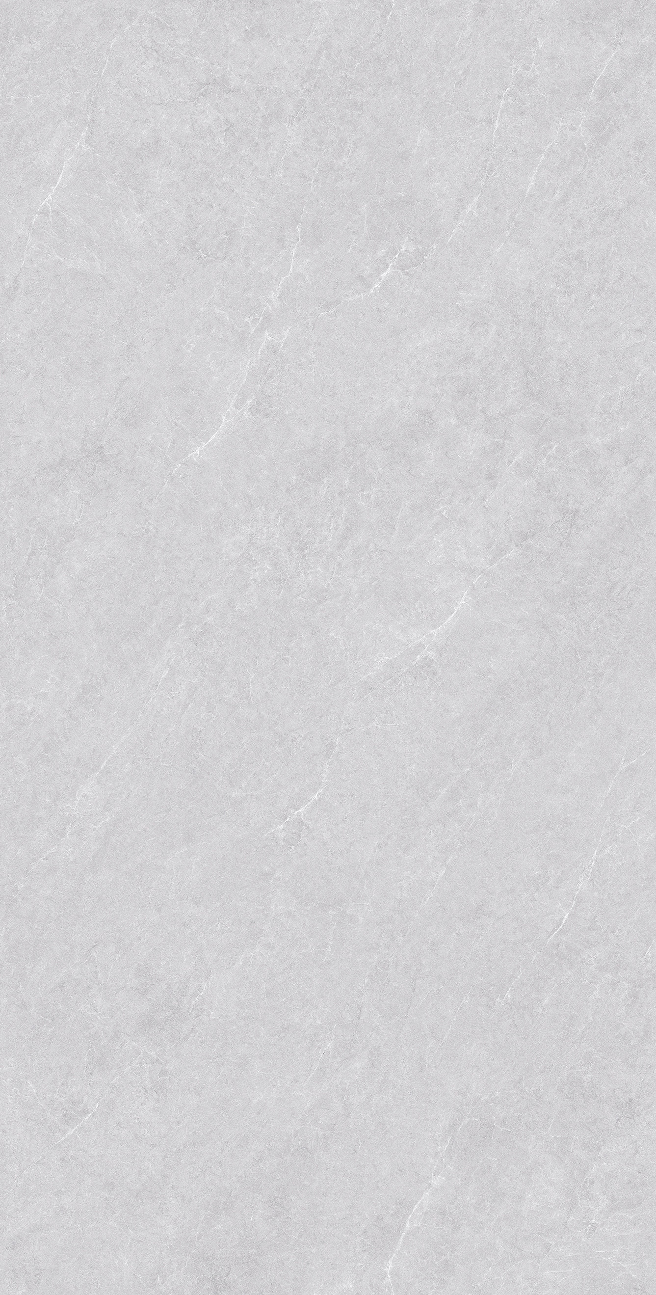GA48891 (4)
