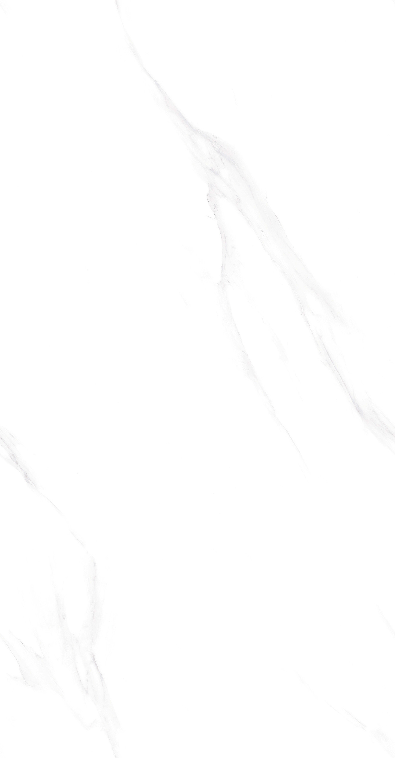 GA48897 (4)