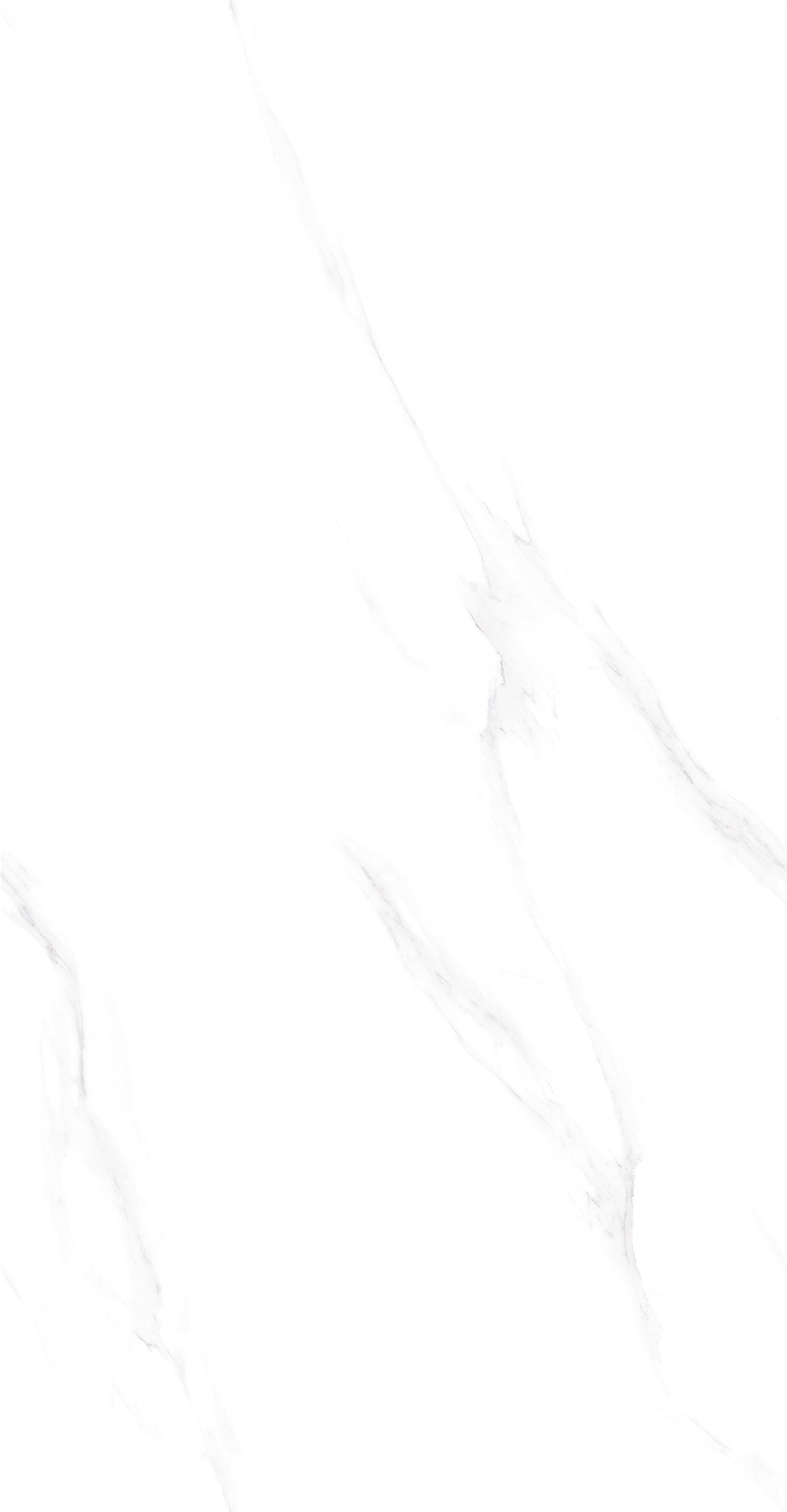 GA48897 (3)