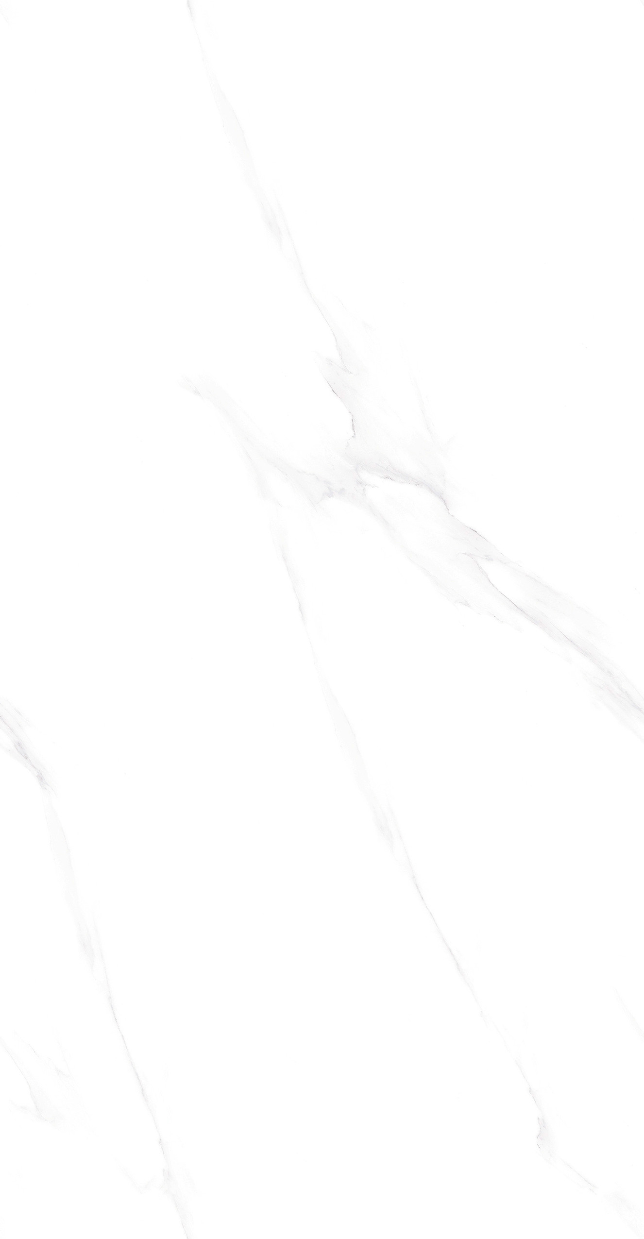 GA48897 (2)