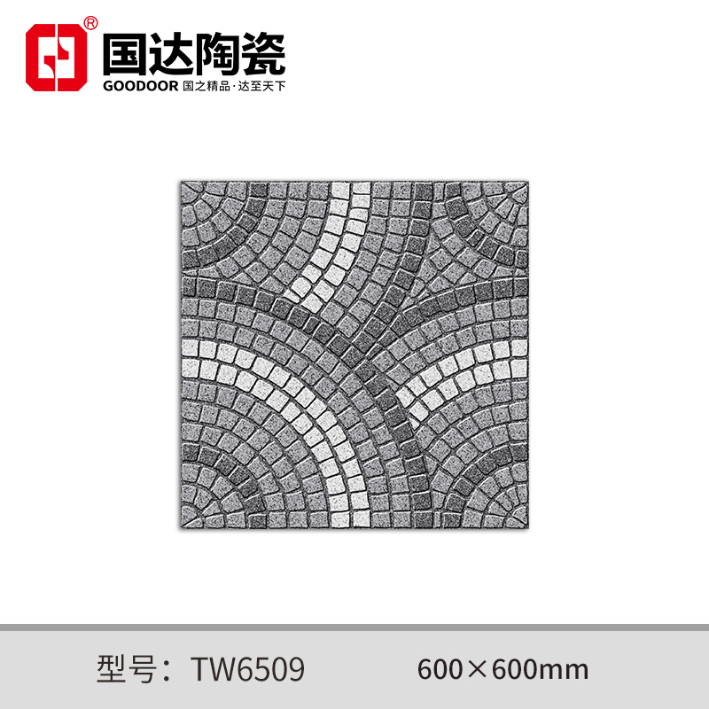 TW6509