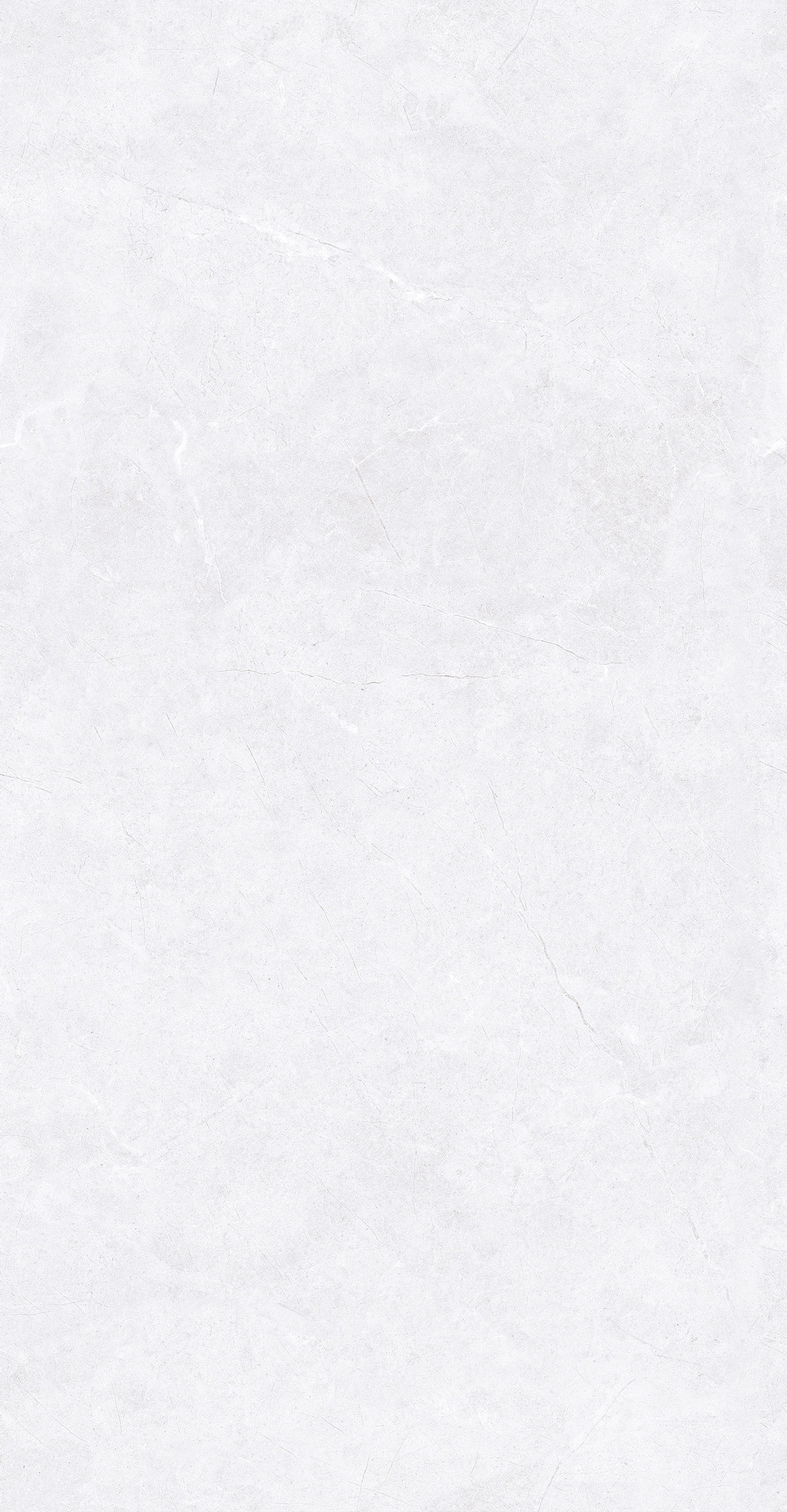GA48893 (2)