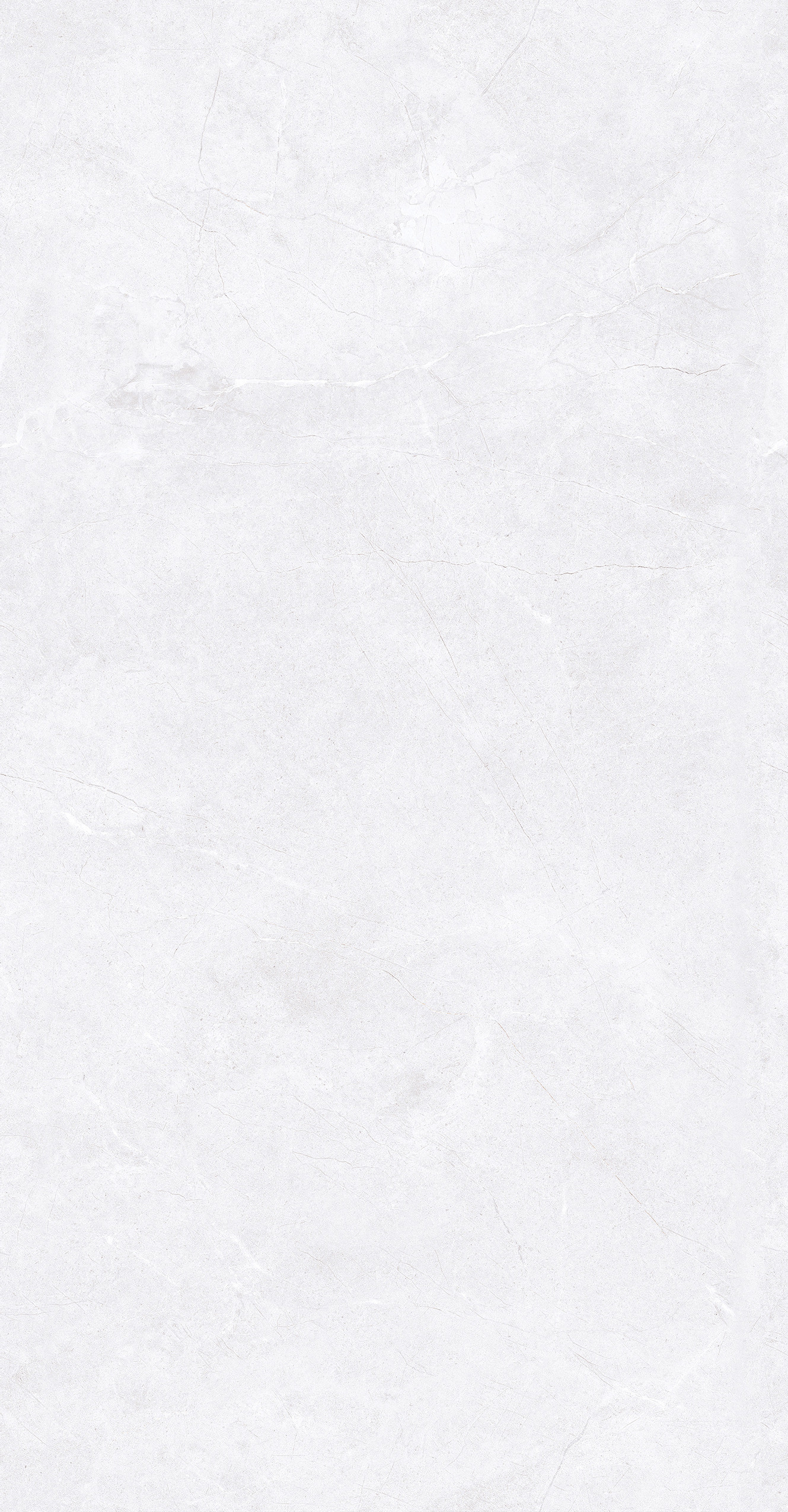 GA48893 (4)