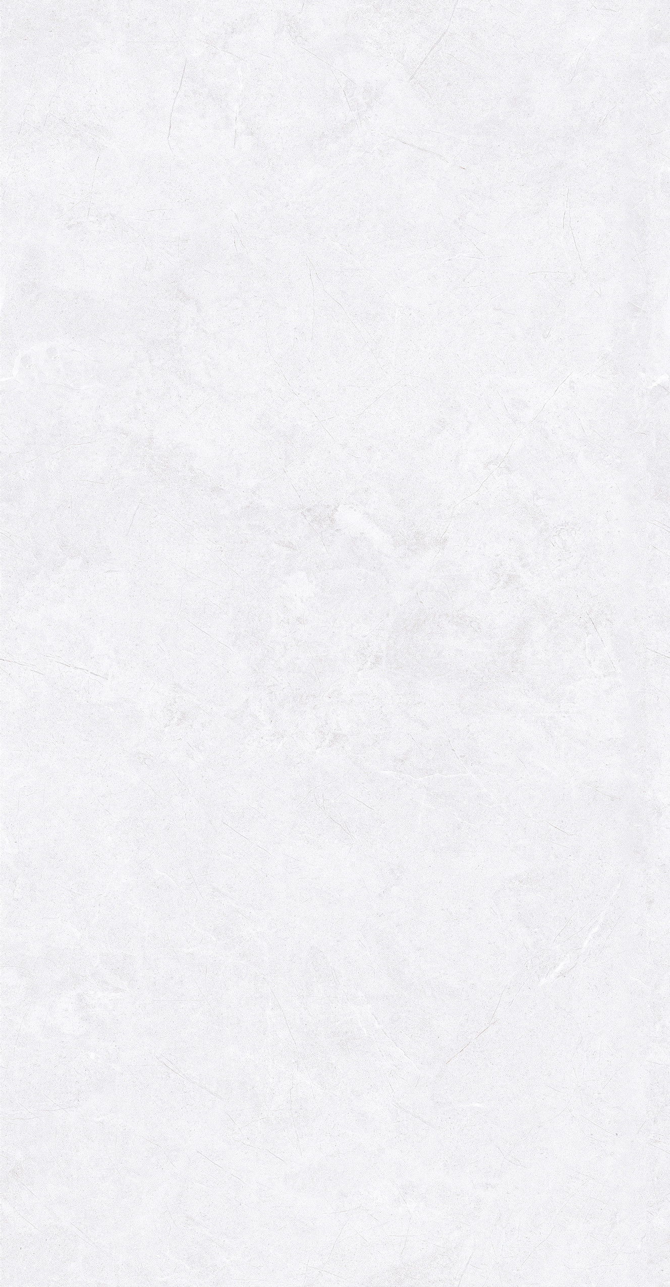 GA48893 (3)