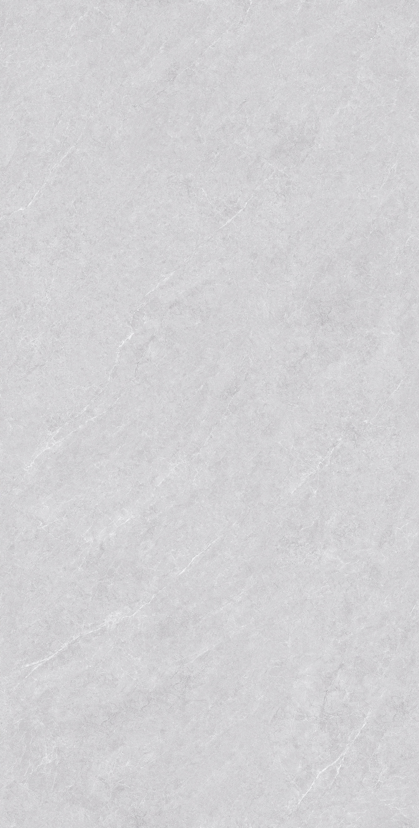 GA48891 (2)
