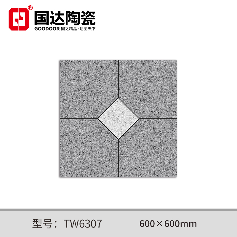 TW6307