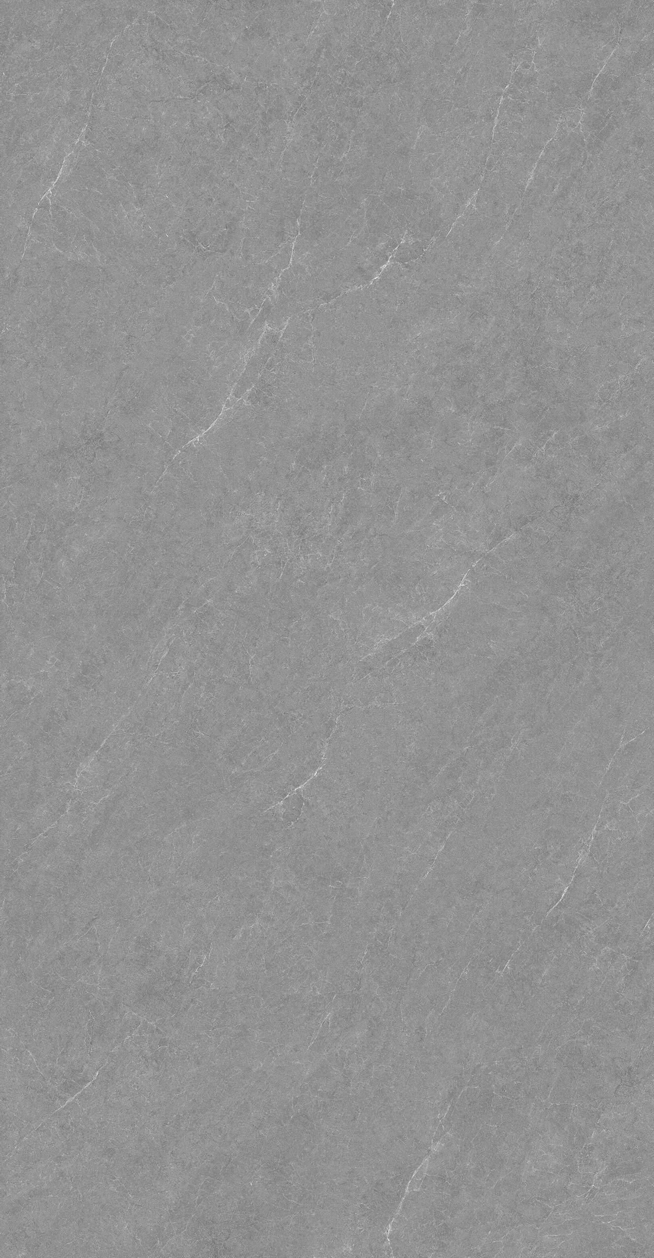 GA48892 (3)