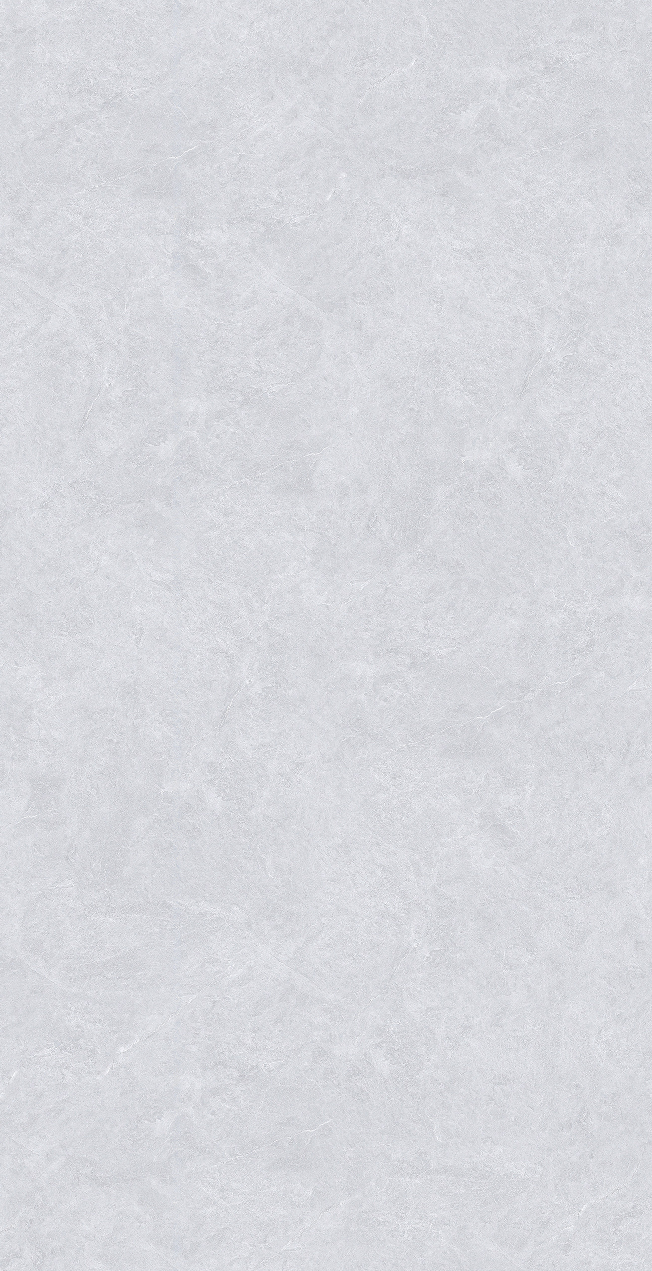 GA48895 (3)