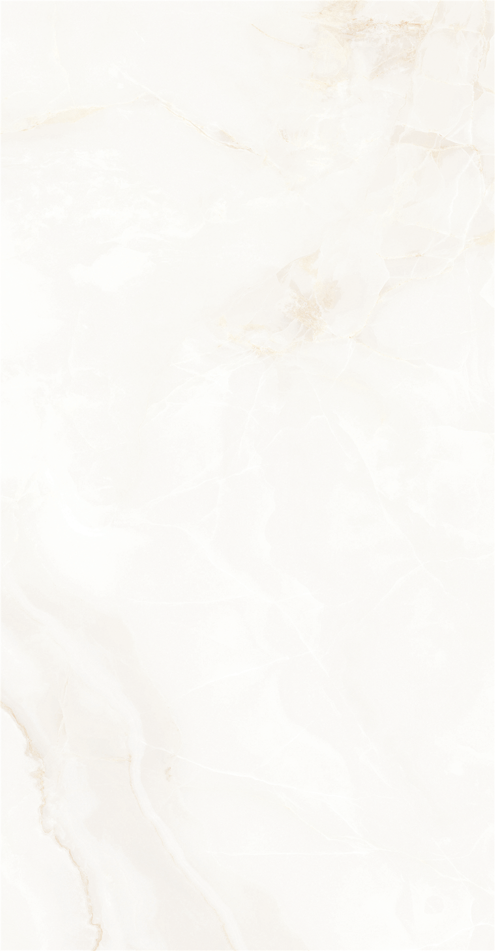 GY48852 (2)