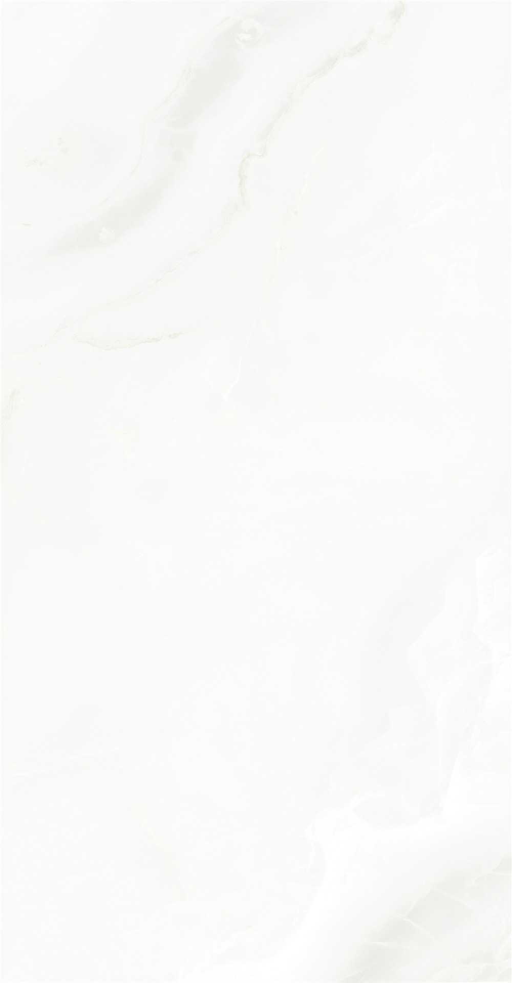 GY48856 (3)