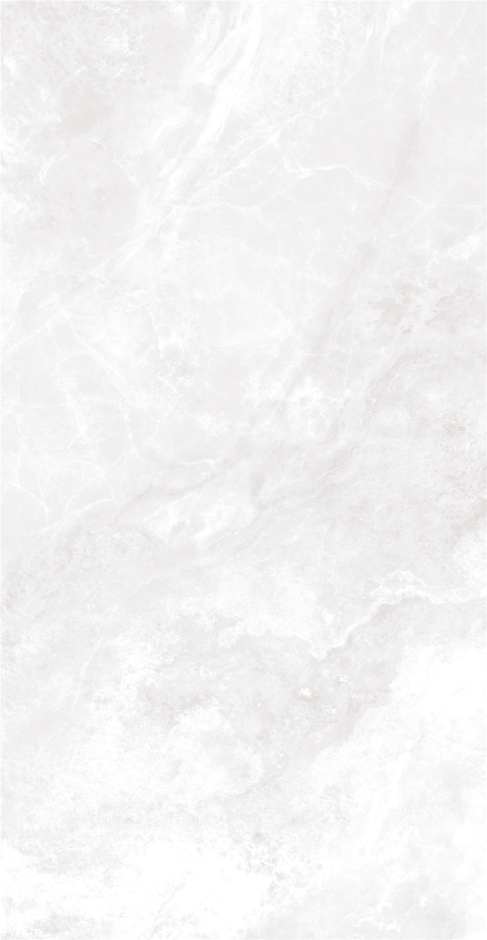 GY48854 (2)