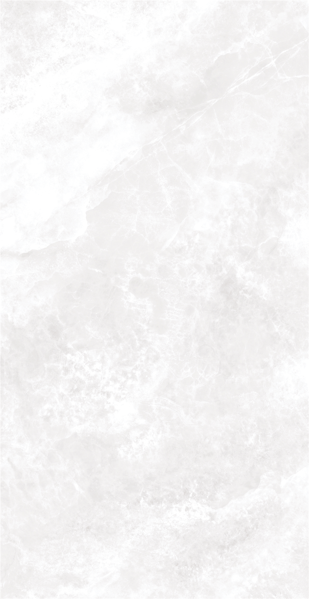 GY48854 (3)