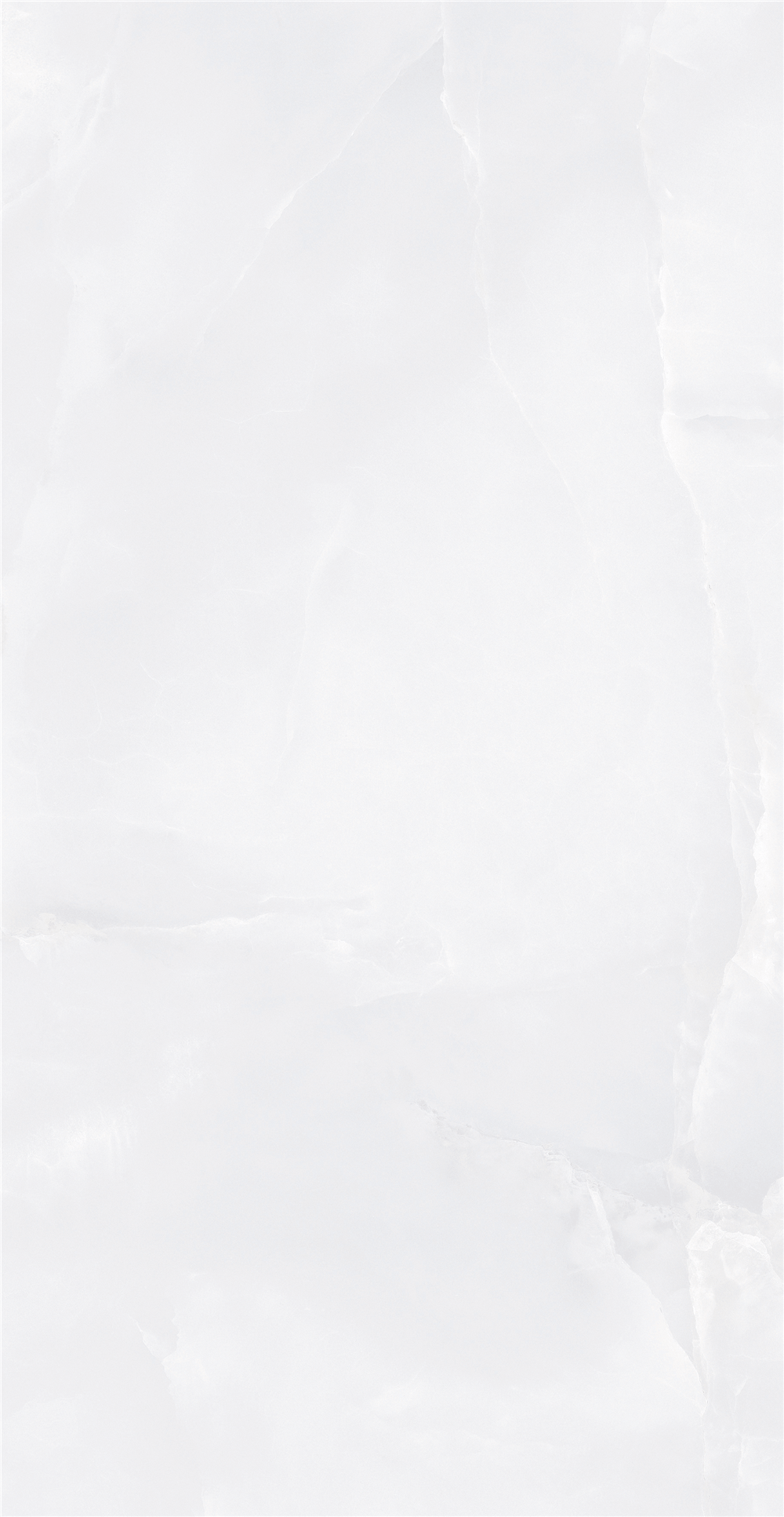 GY48853 (3)