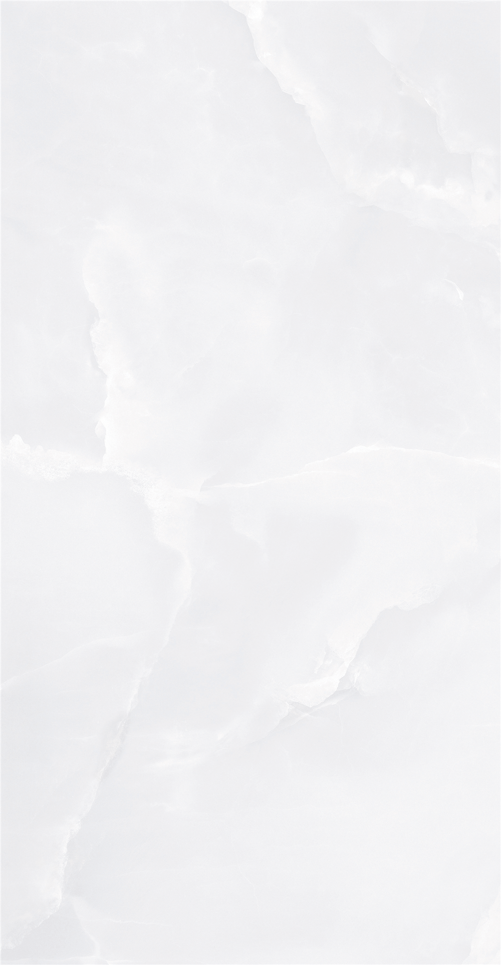 GY48853 (4)