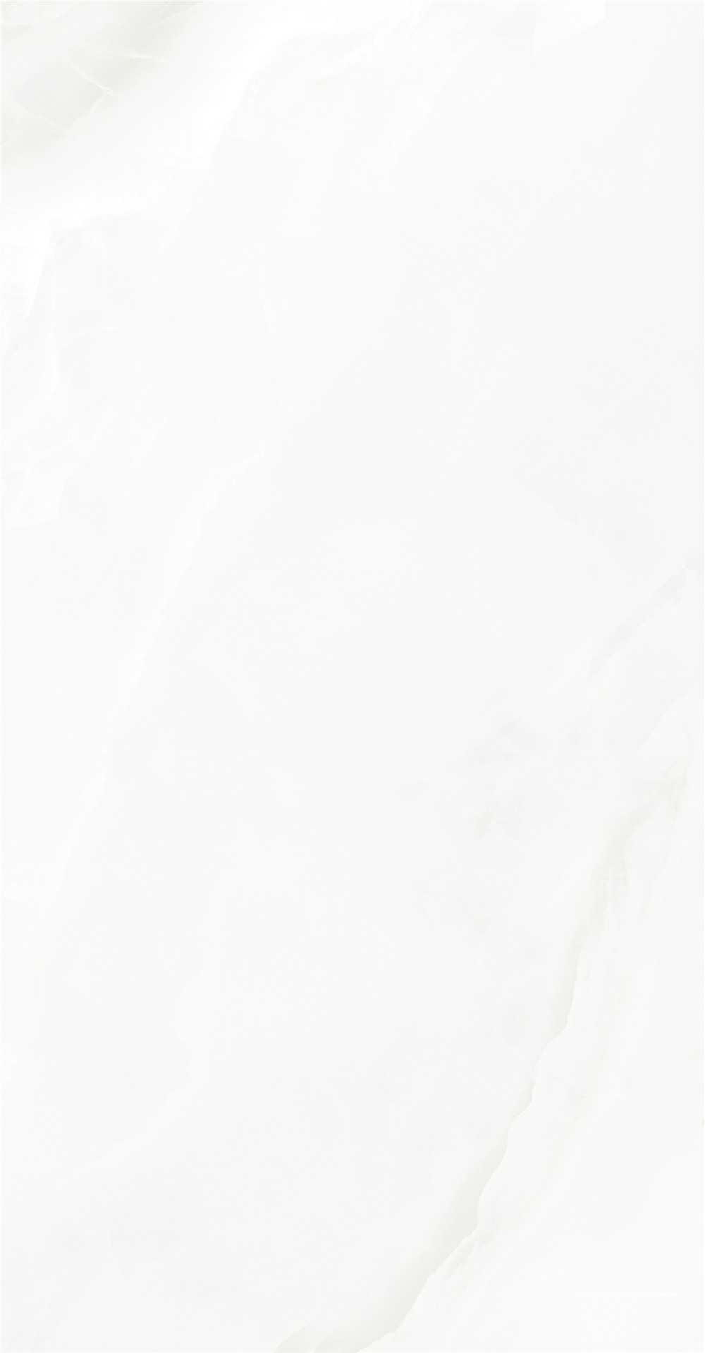GY48856 (2)