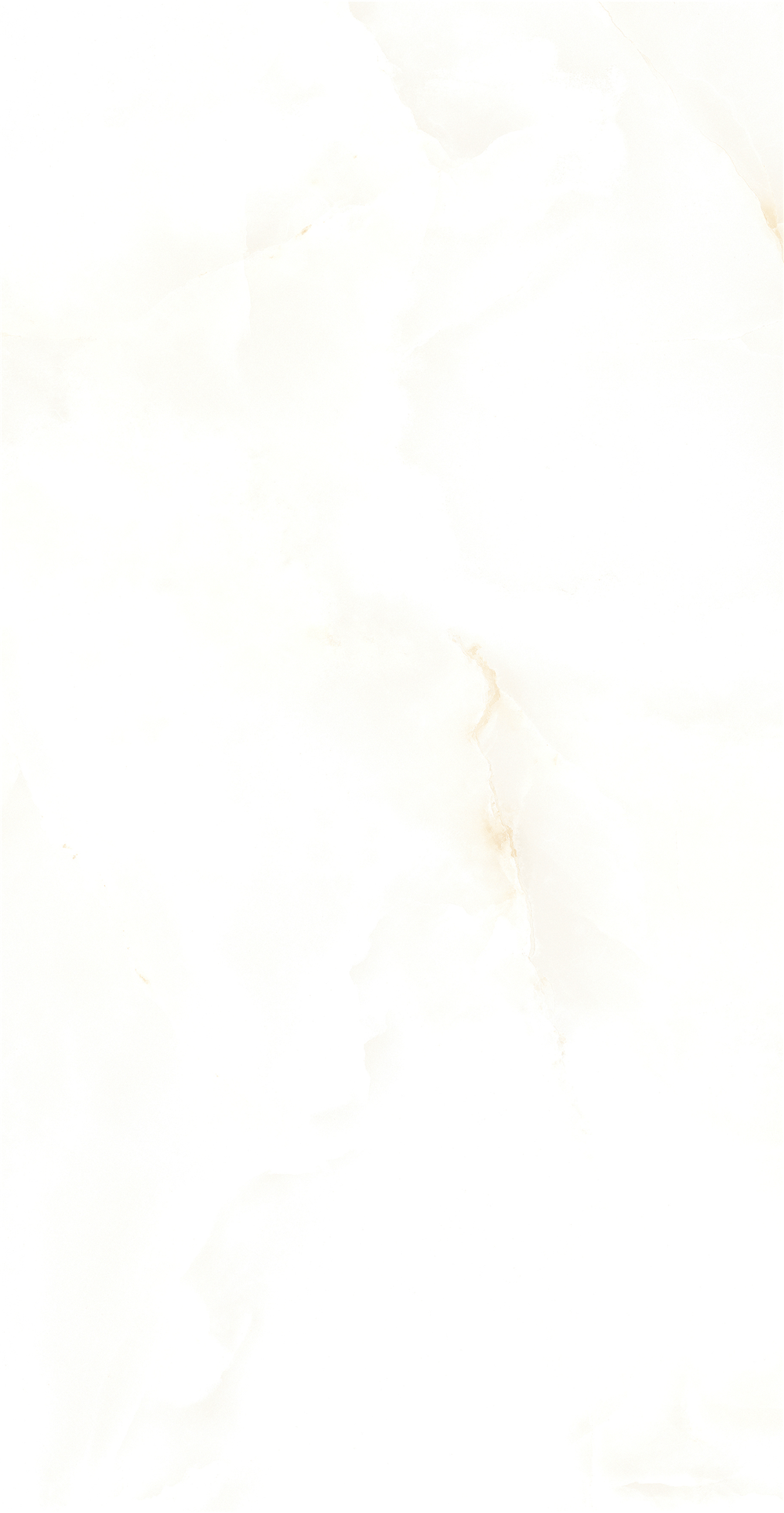 GY48851 (4)