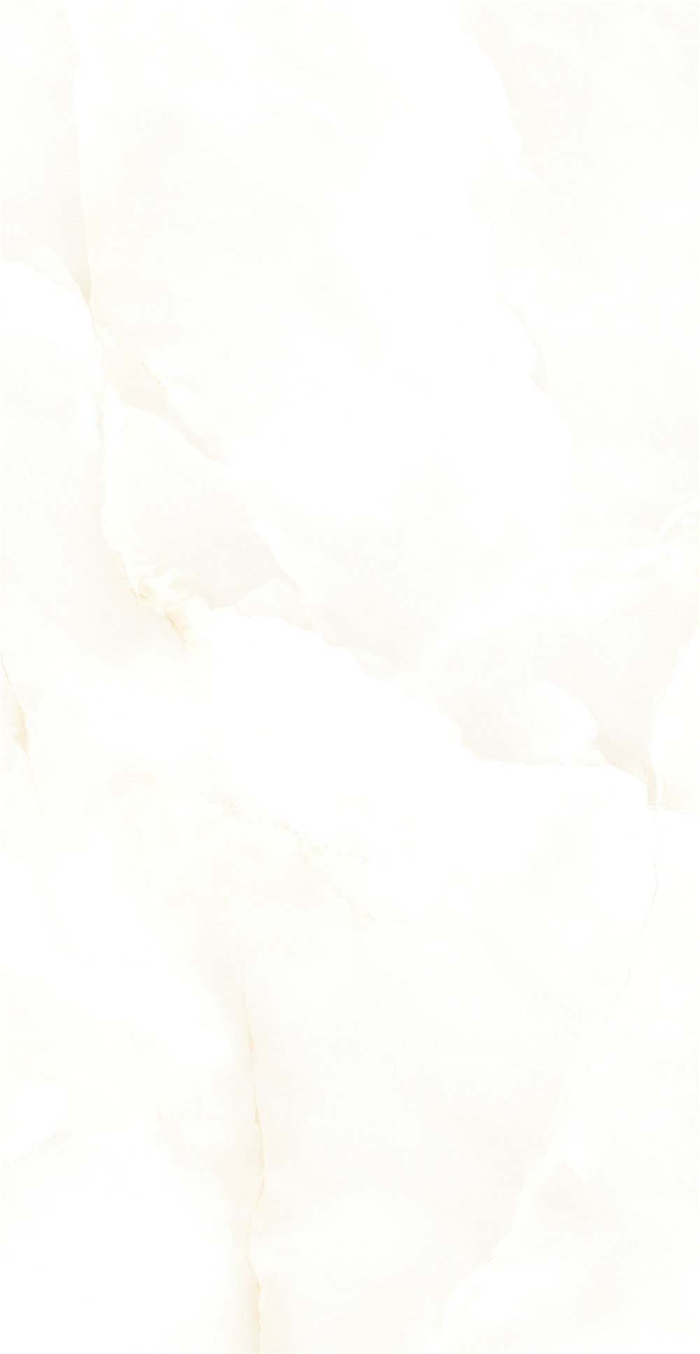 GY48851 (3)