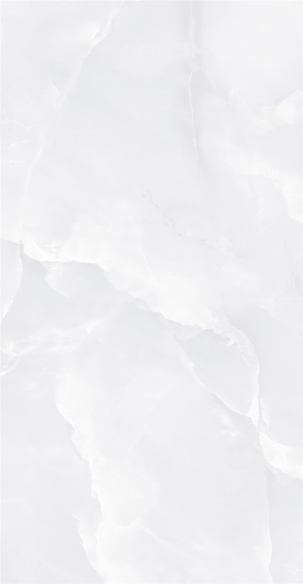 GY48853 (2)