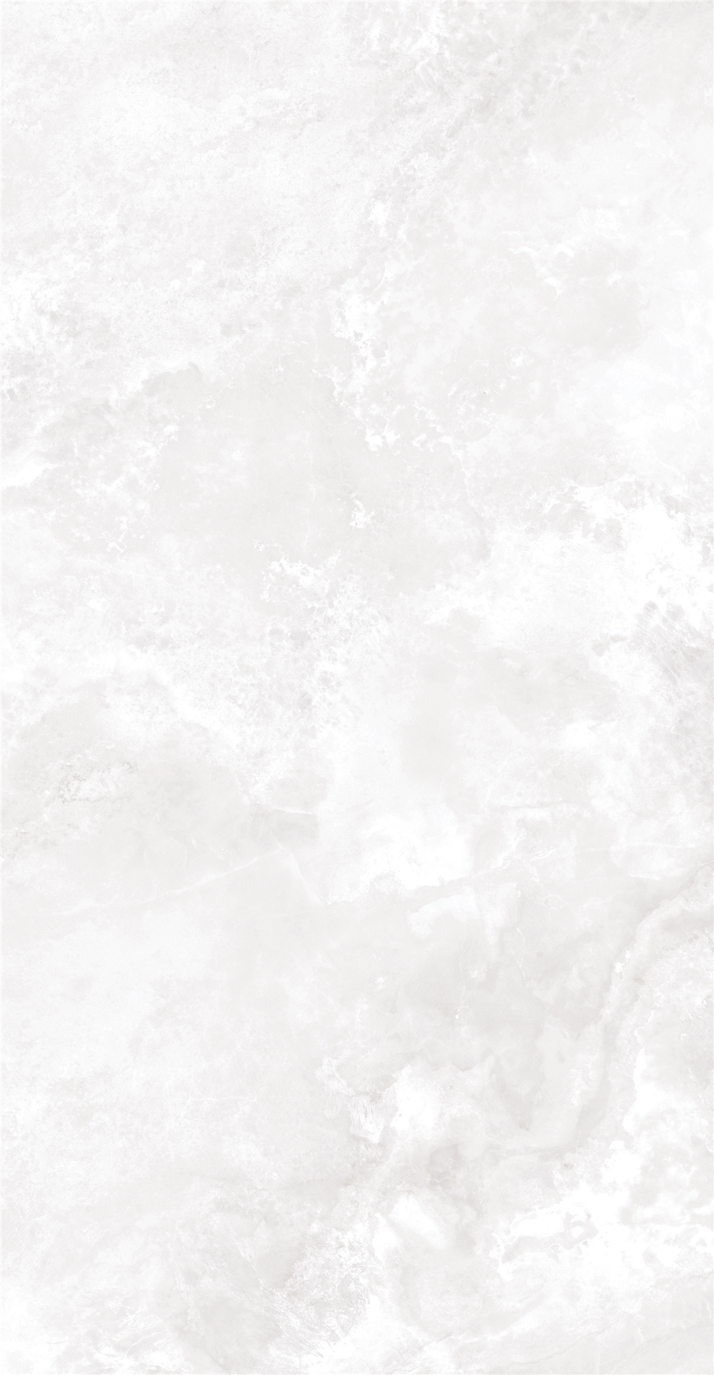 GY48854 (4)