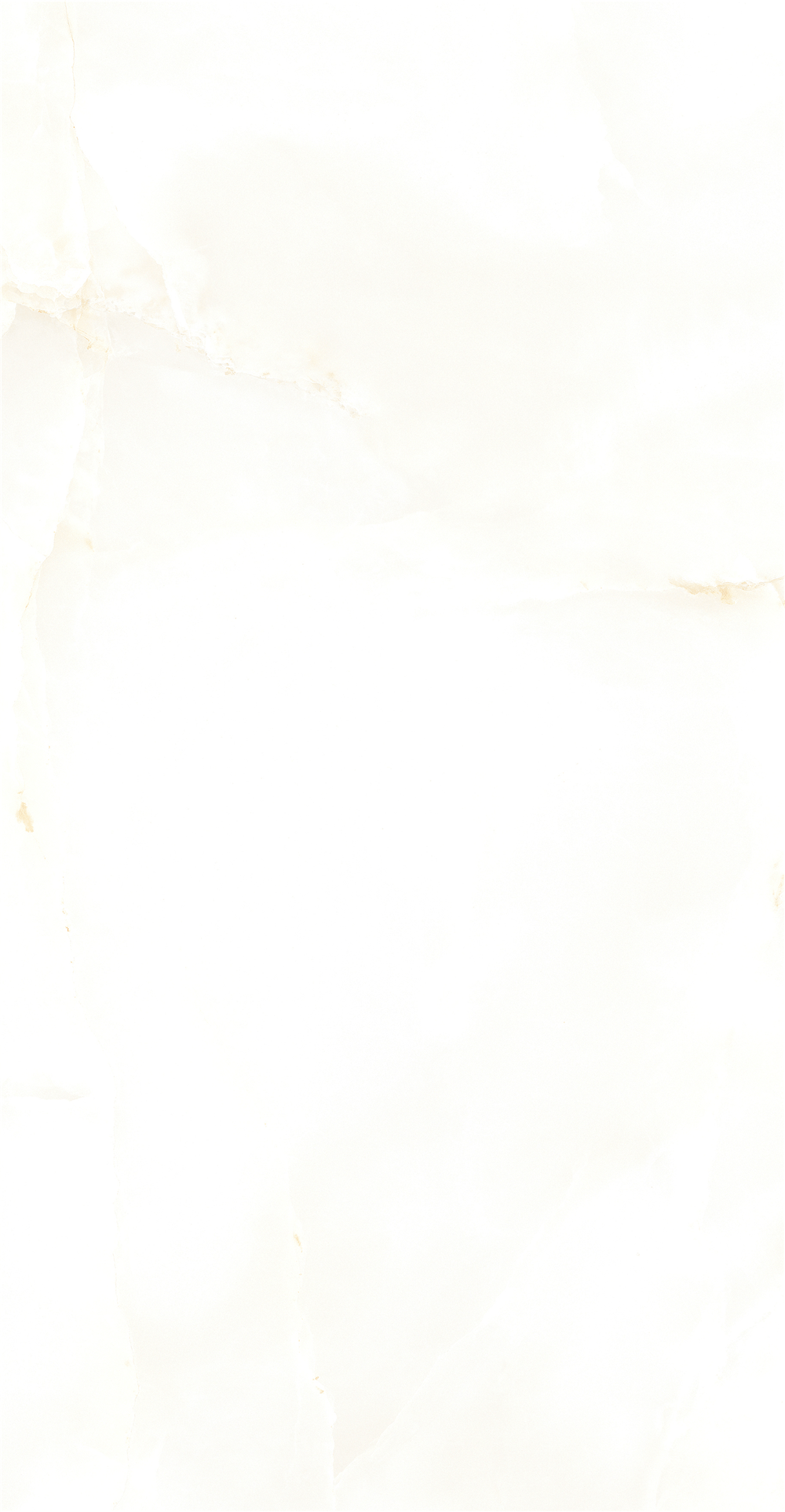 GY48851 (2)