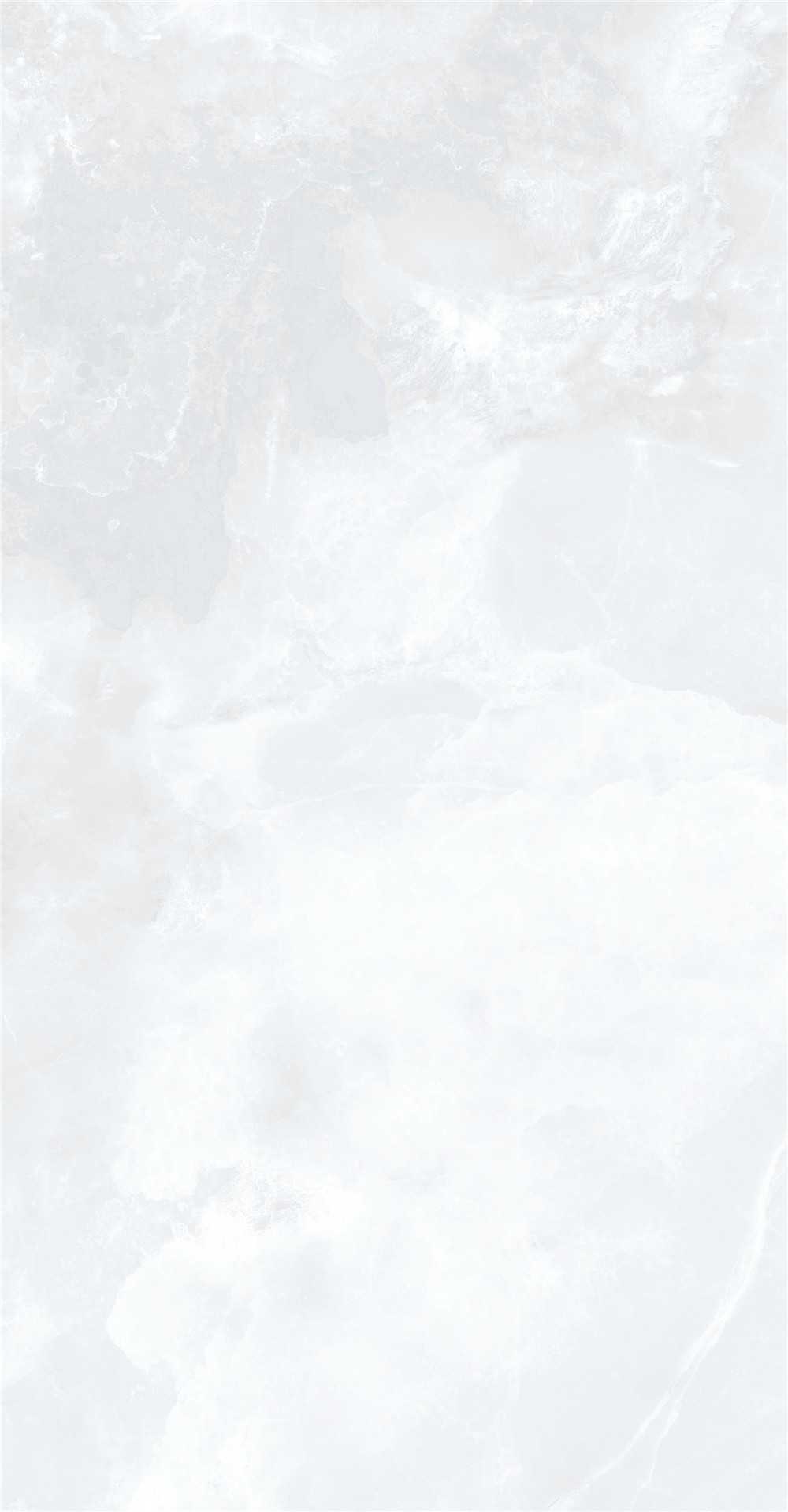 GY48855 (2)