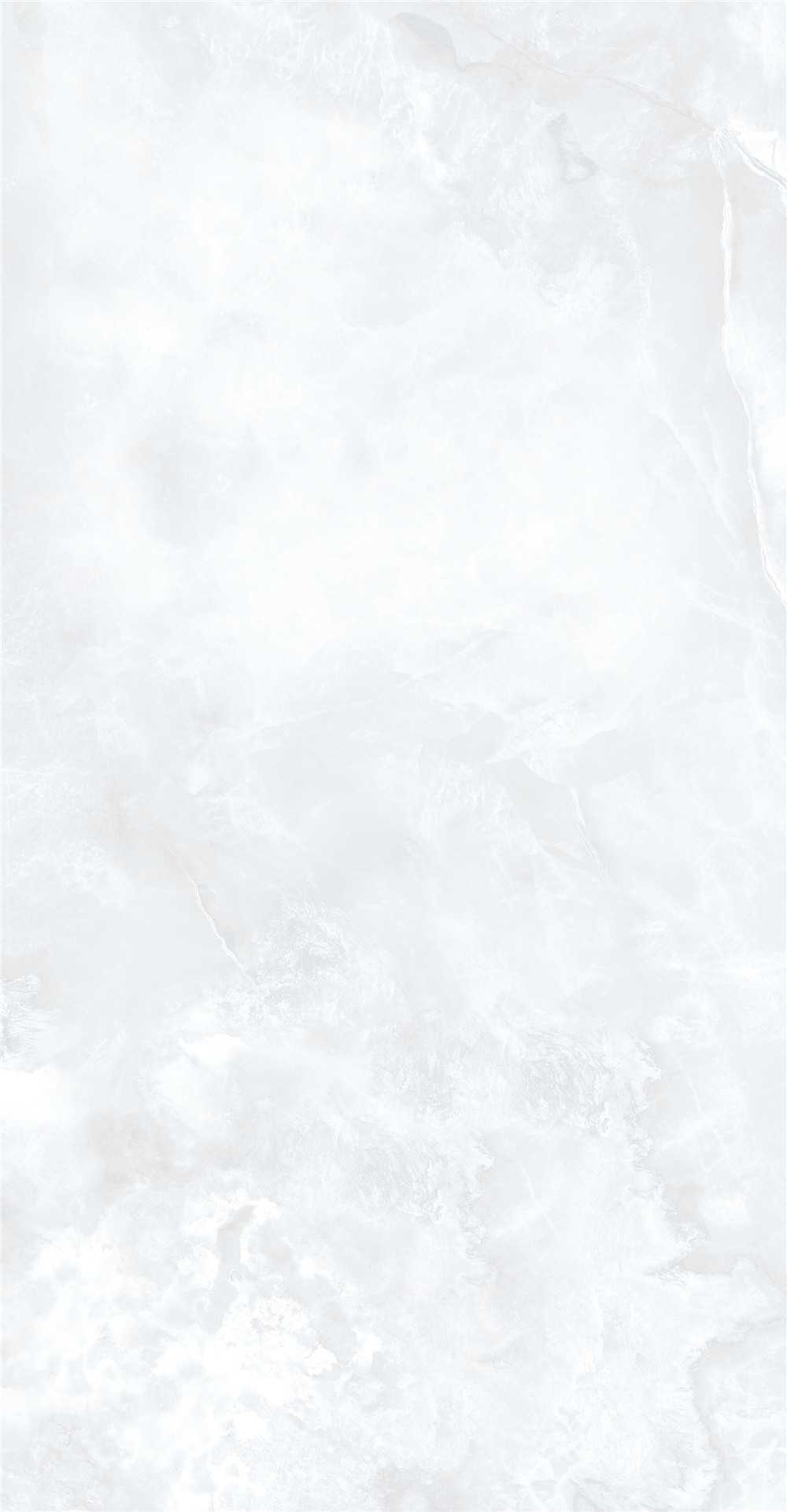 GY48855 (3)